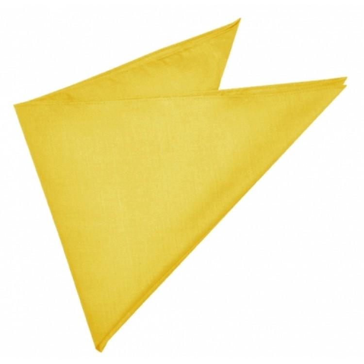 Grace Collection Bandanna-(AH830/ B001)