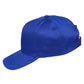 Winning Spirit Cotton Twill Cap (CH13)