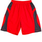 Winning Spirit Adults Slamdunk Shorts (SS23)