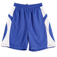 Winning Spirit Adults Slamdunk Shorts (SS23)