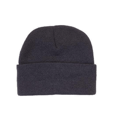 Headwear 3M Thinsulate Acrylic Beanie (3059)