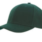 Headwear Premium American Twill College Cap (3919)