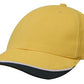 Headwear Brushed Heavy Cotton with Indented Peak (4167)