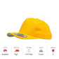 YUPOONG Classic Snapback - (6689C)