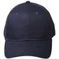 Winning Spirit Premium Cotton Trucker Cap (CH89)